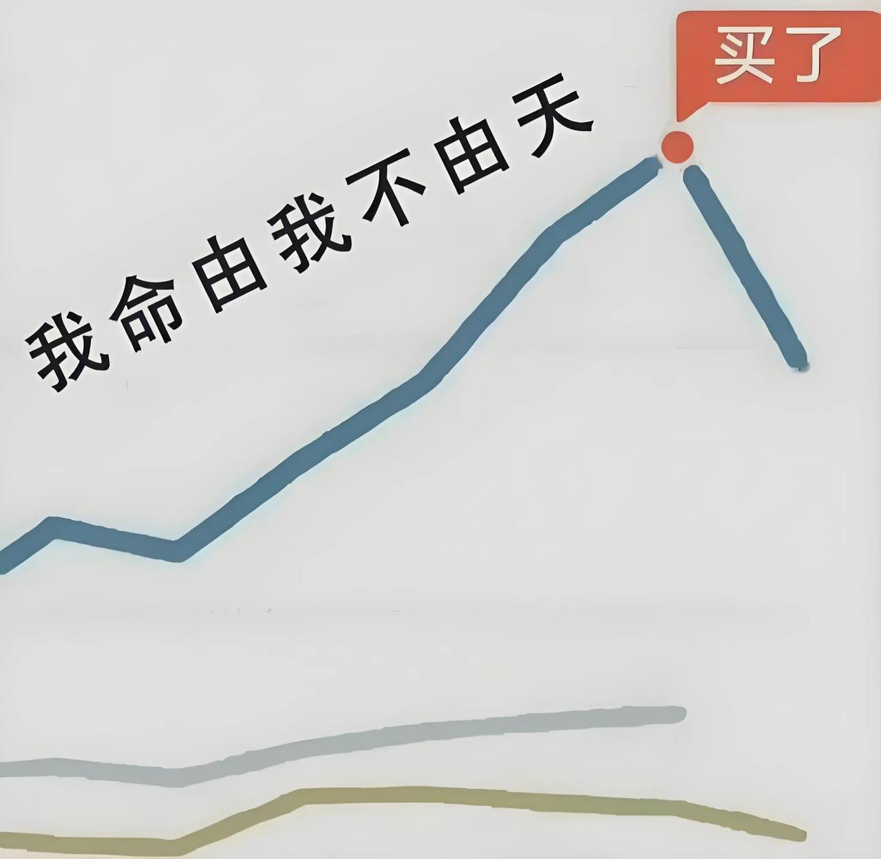 搞笑图片基金搞笑表情包能承受巨大基金涨跌的厉害的人的图片赚指数不