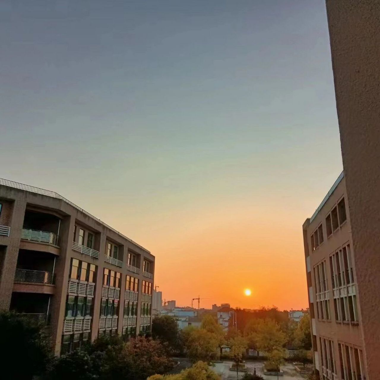 黄山健康职业学院   一阵暖风吹排身边.
