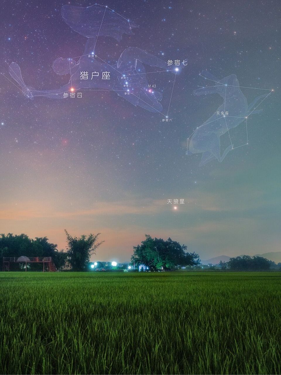 猎户座连成线加上生动的图案,是不是突然就涨知识了呢 收藏该作品