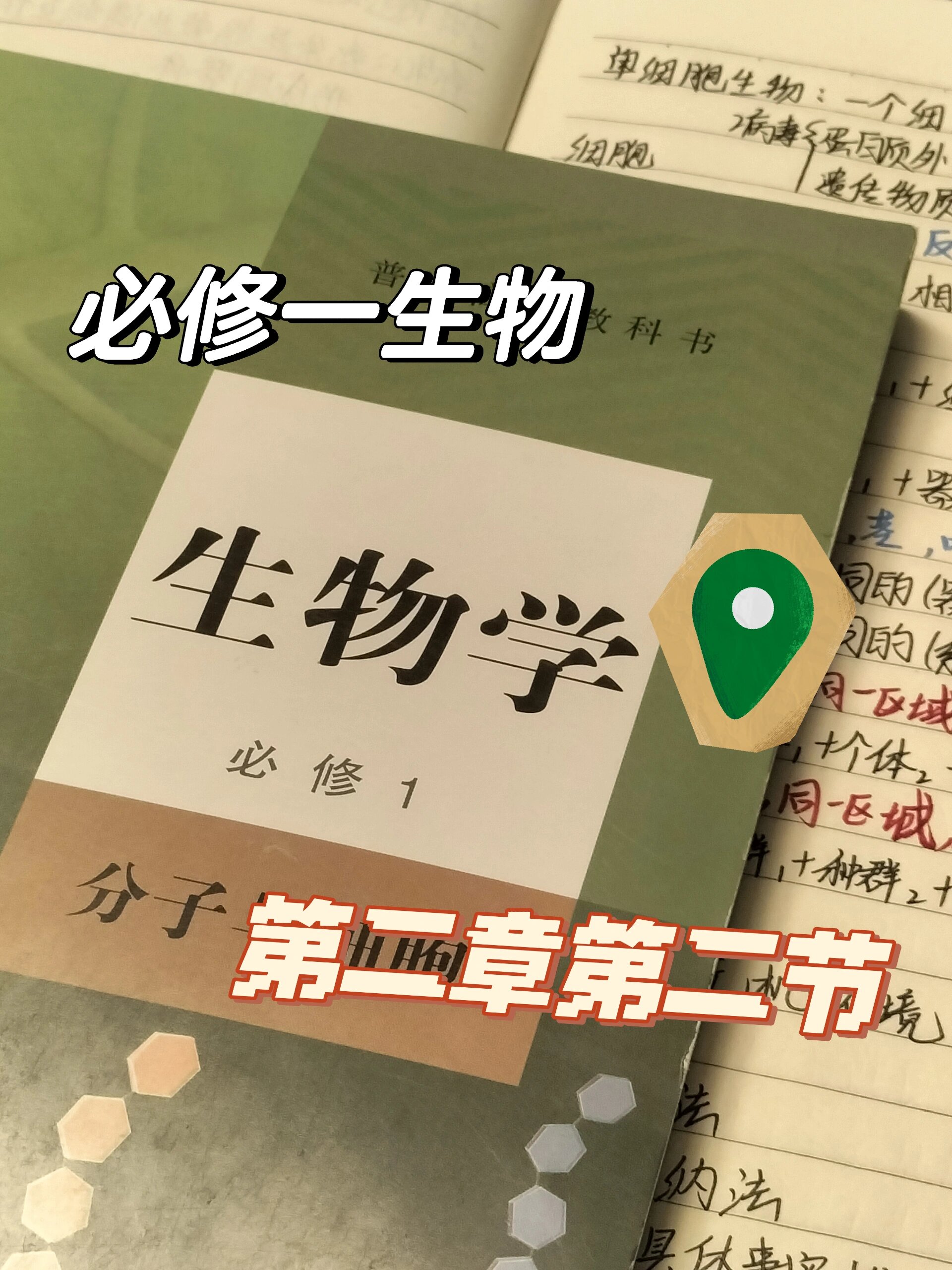 晨读晚记高中生物(晨读晚记高中生物怎么写)  第1张