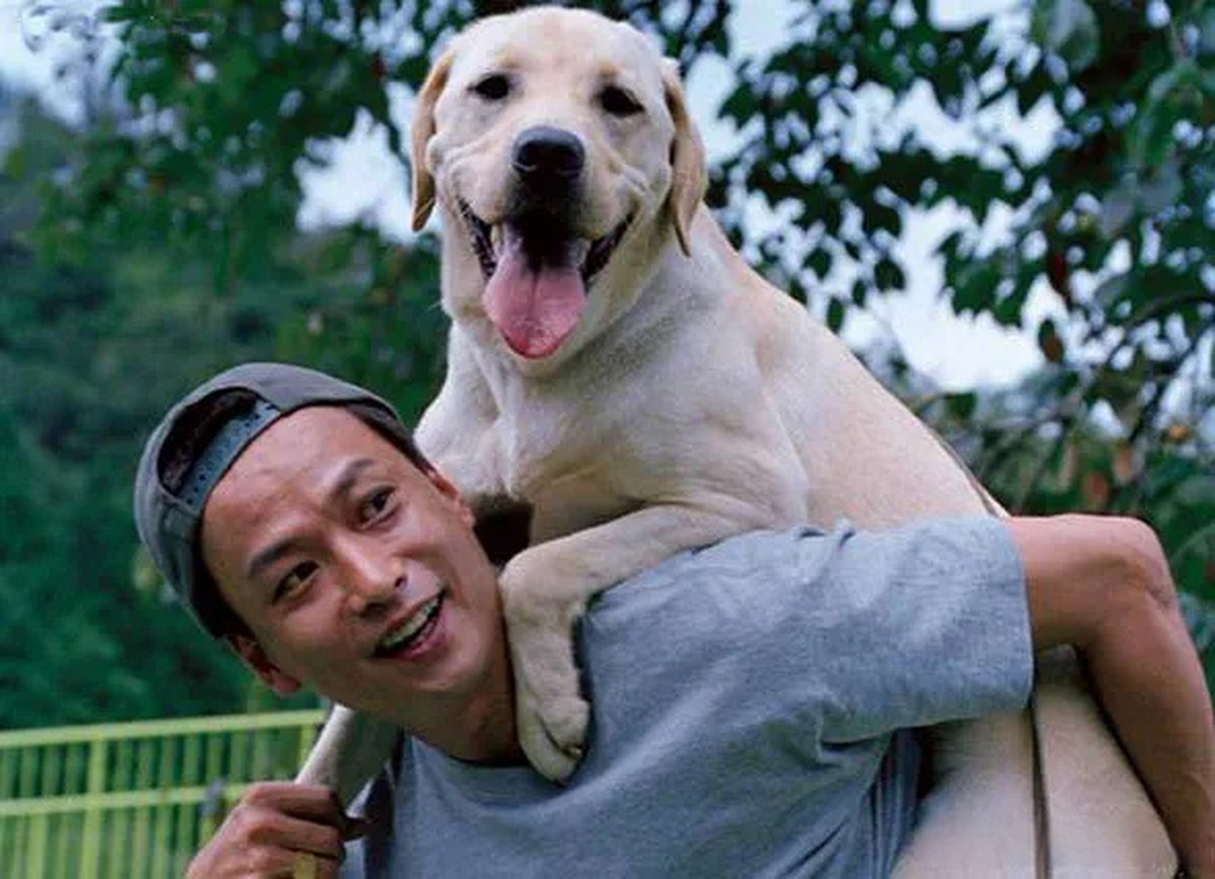 光影里的今天#  电影:《导盲犬小q》 上映日期: 2004-03-13(日本)