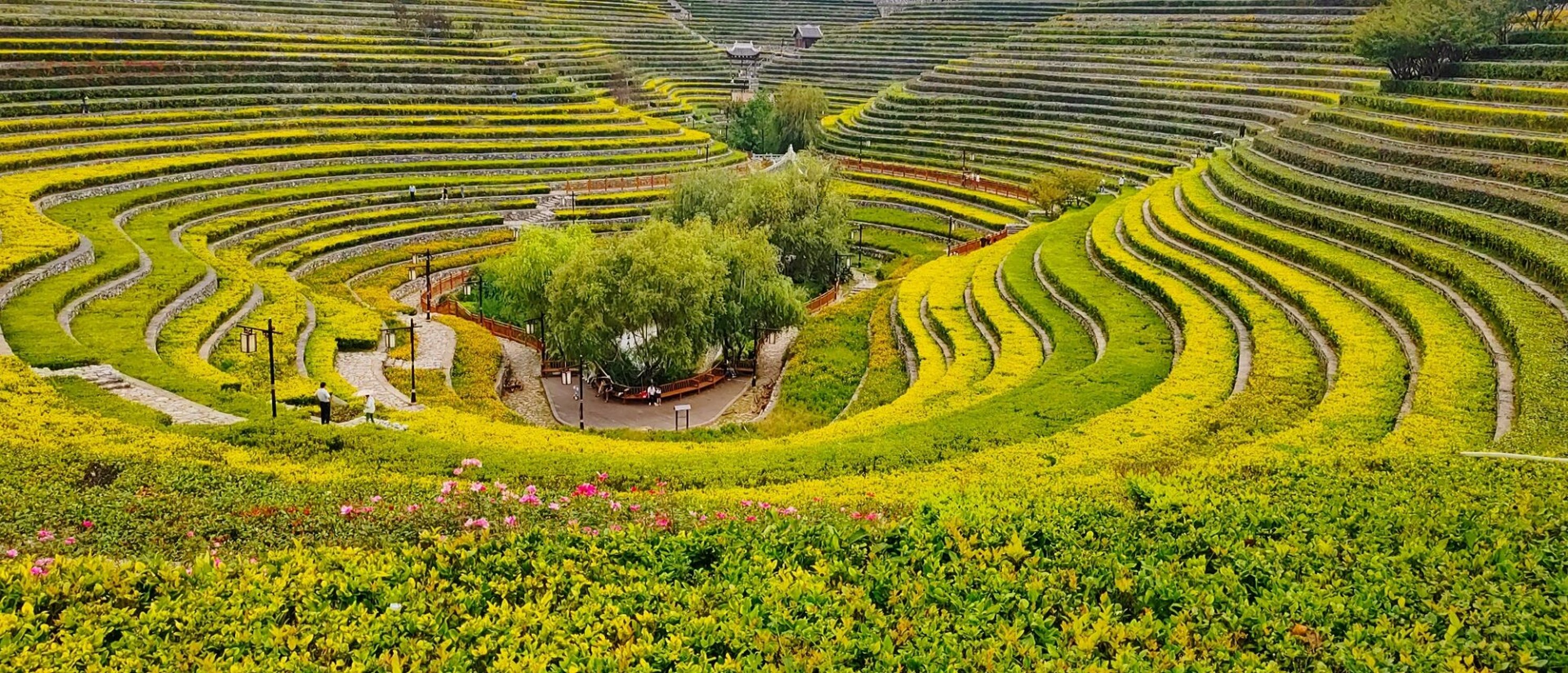 奢香古镇梯田图片