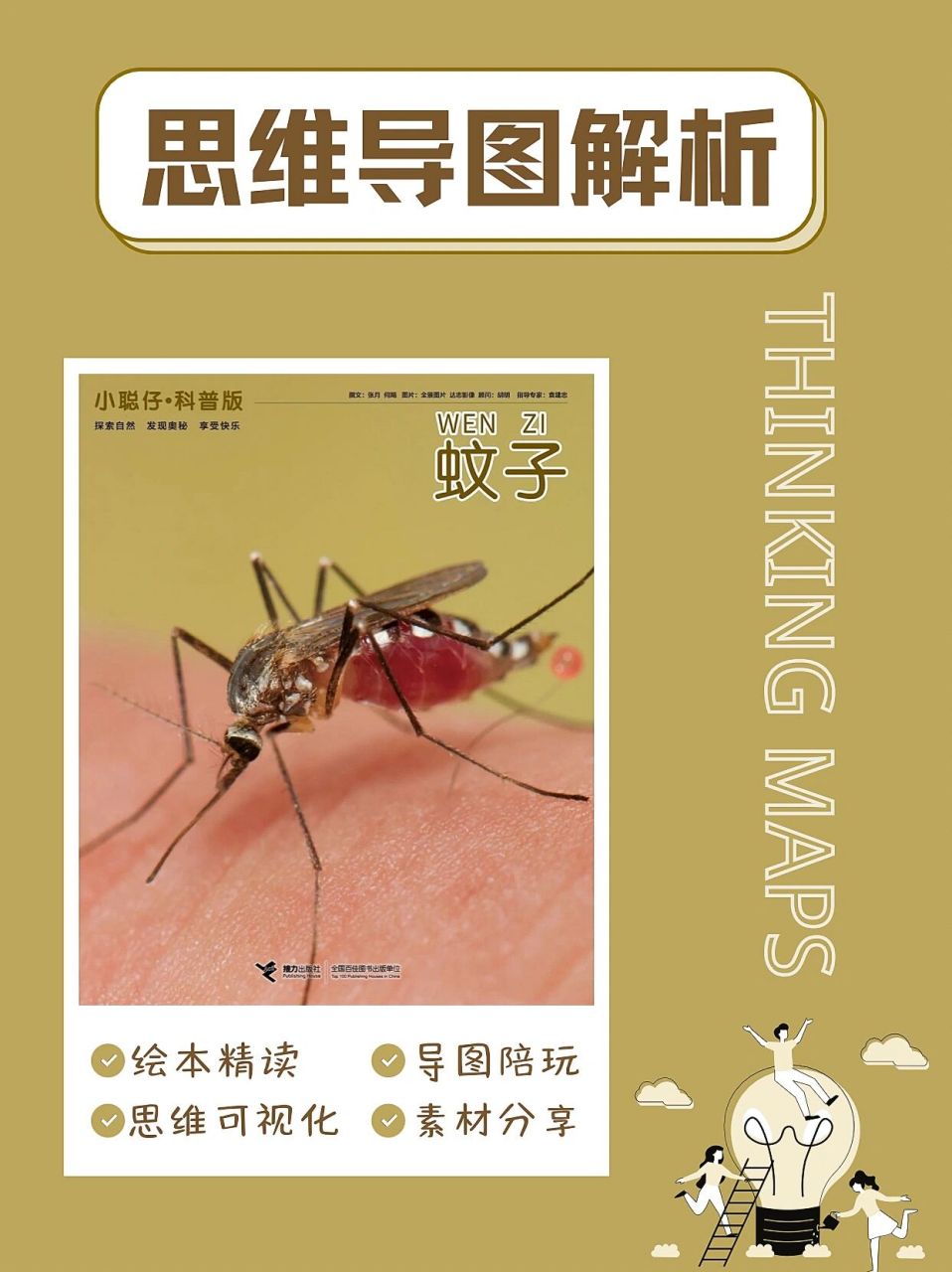 92思维导图|小聪仔·科普 《蚊子》 7715炎热的夏天到了,最不缺