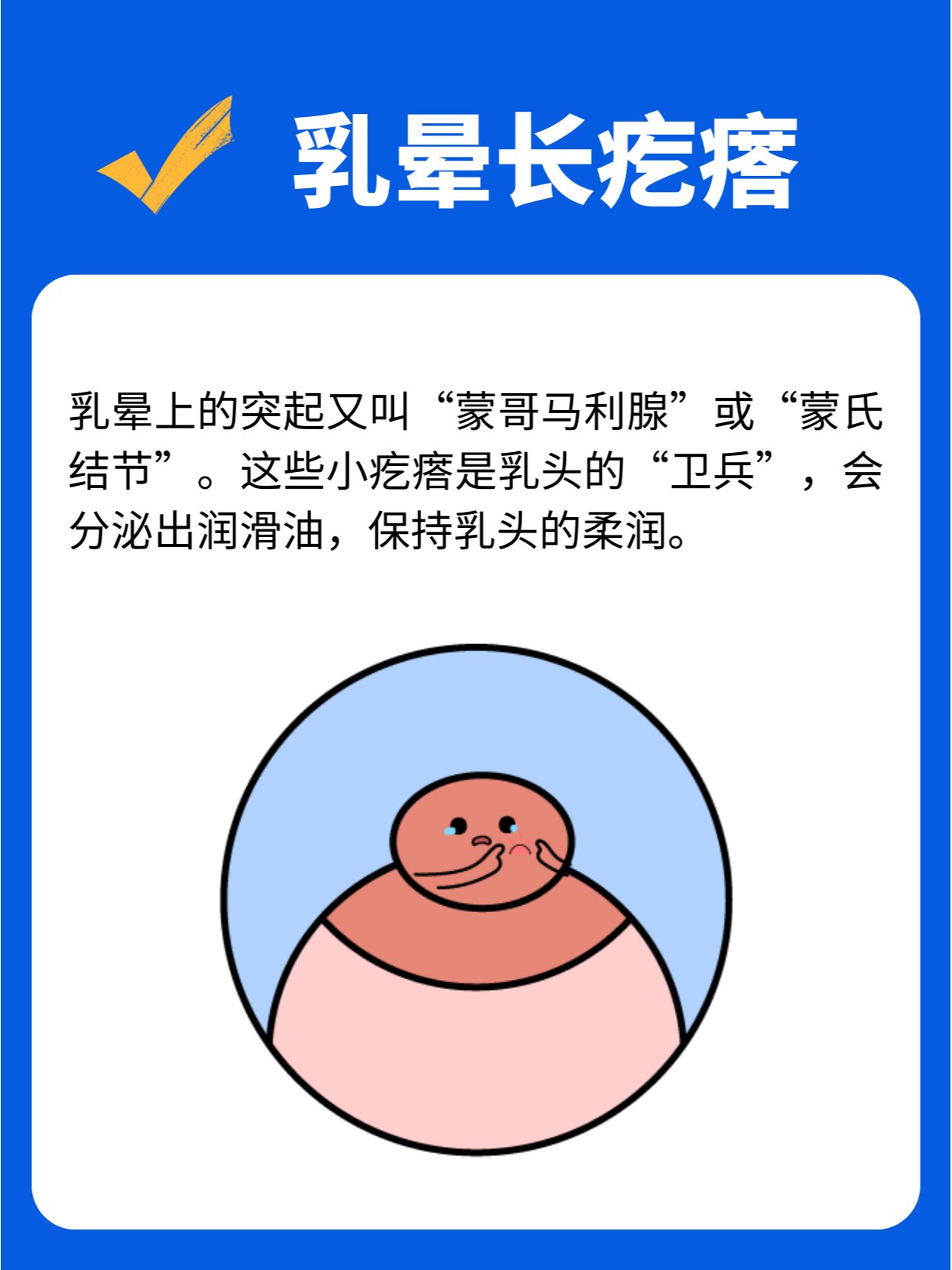 乳晕腺图片