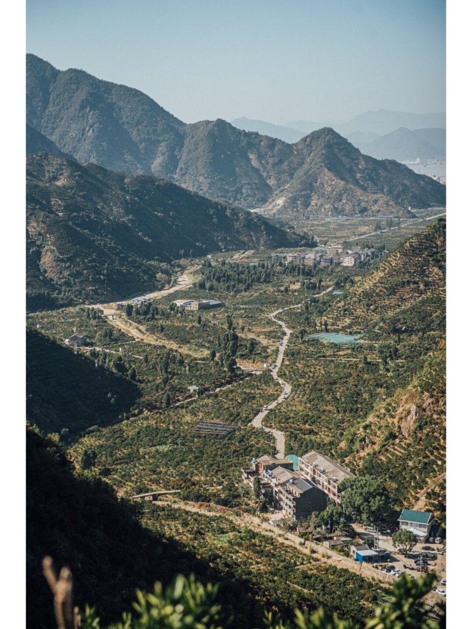 令人惊艳的本土水果|天下一奇,吃橘带皮 每年橘黄时,在临海涌泉镇,户