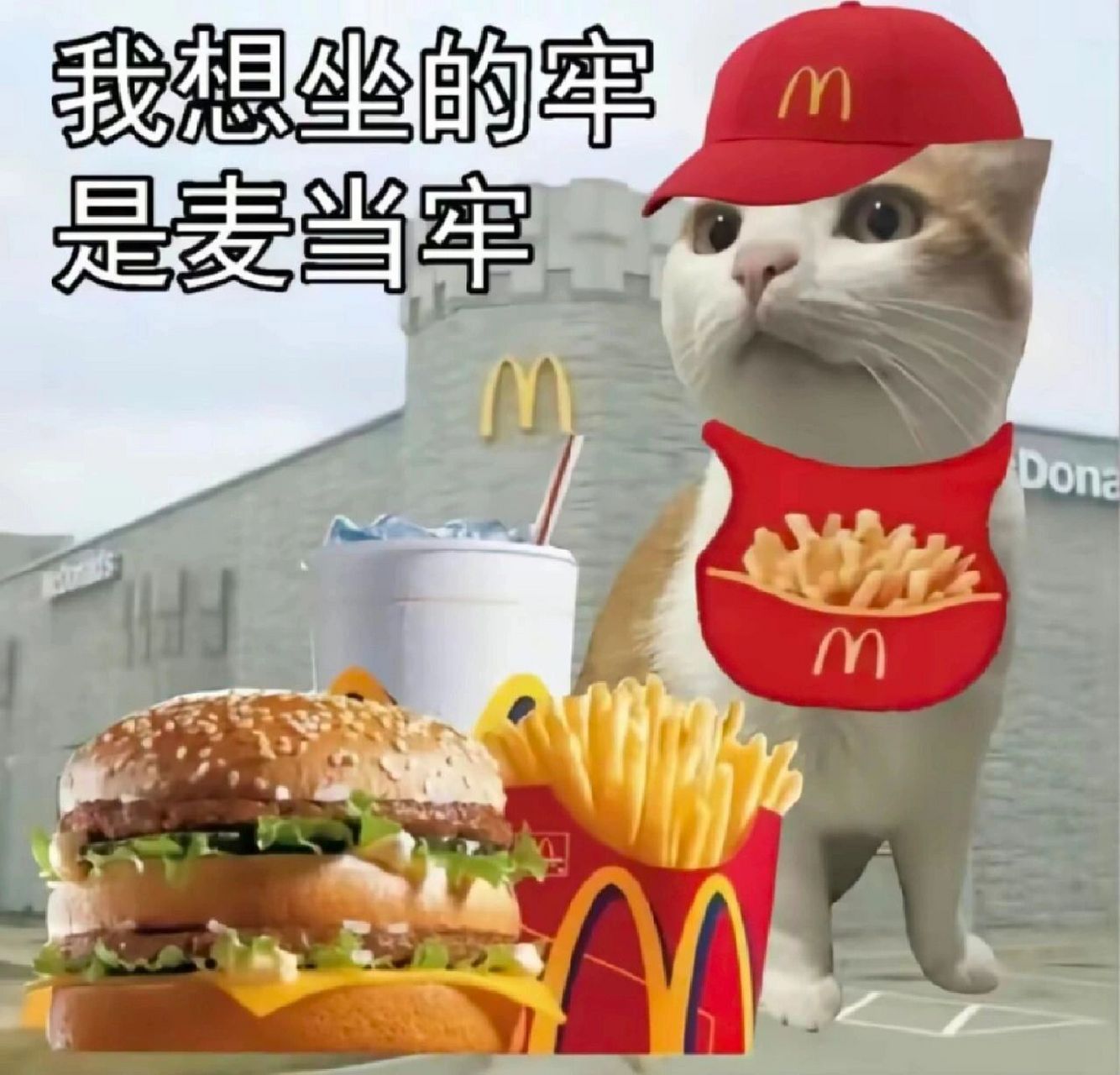 92麦当劳表情包第四弹 麦当劳汉堡好好好~麦当劳薯条条条条~ 麦当劳