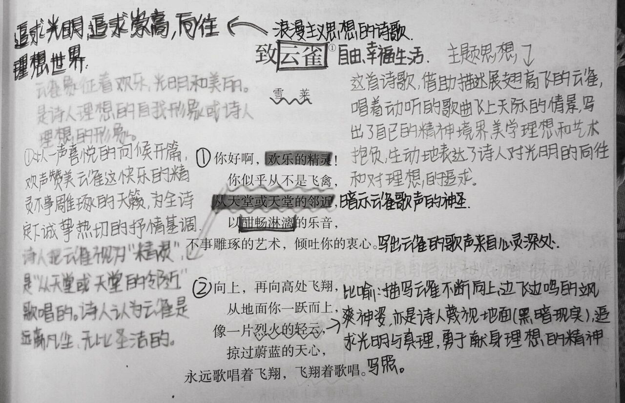 新高一语文笔记《致云雀》①
