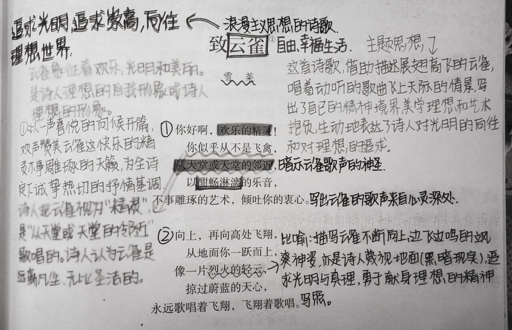 新高一语文笔记《致云雀》①   ①