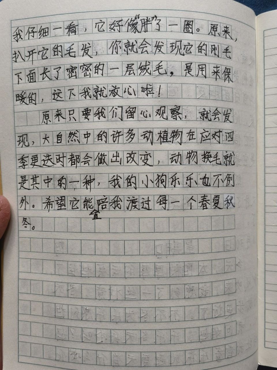 观察日记300字四年级植物(观察日记300字四年级植物怎么写)