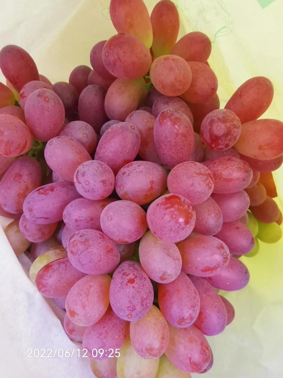 同一串深红无核葡萄,5-ala5%液体50毫升兑水20公斤叶喷,5-ala3%粉剂