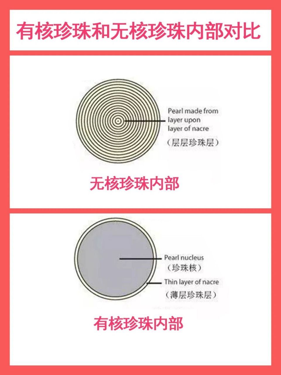 干货科普‖有核珍珠无核珍珠如何区分 小白在网上买珍珠经常能看到