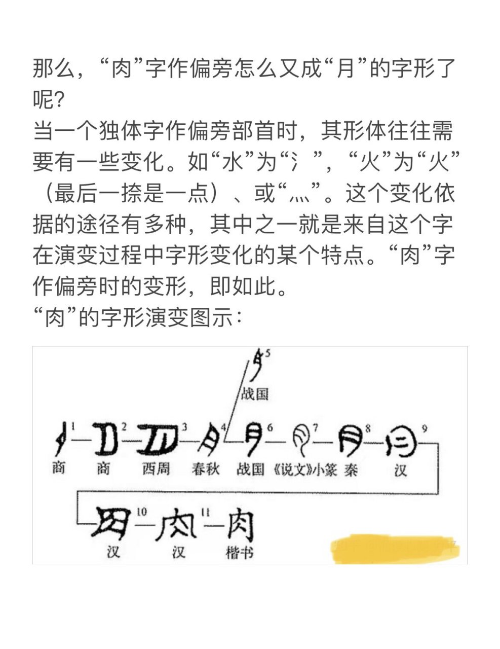 肉月旁的字图片