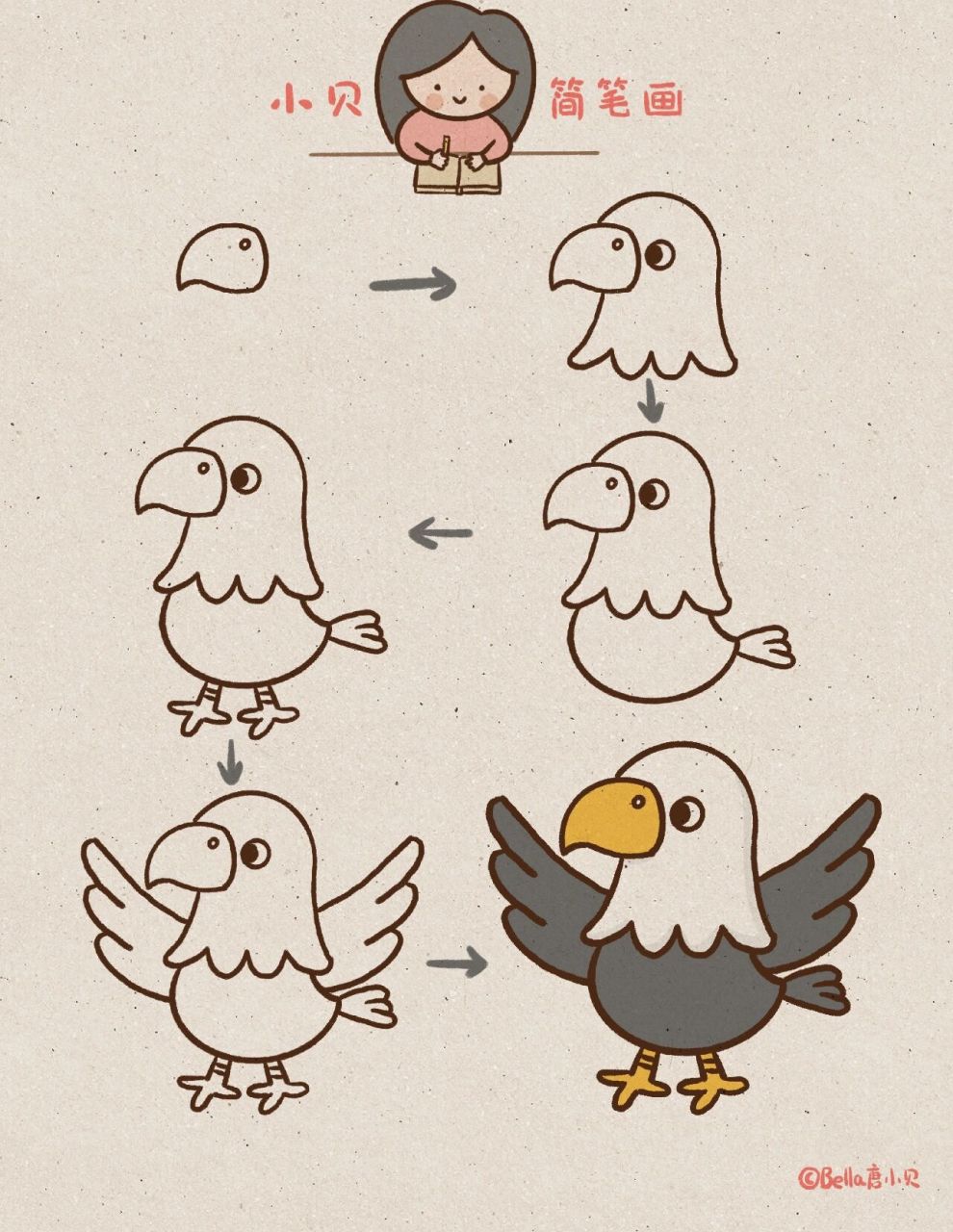 小贝简笔画-鹰07大型鹰可以捕捉山羊…… 07鹰是肉食性动物,会