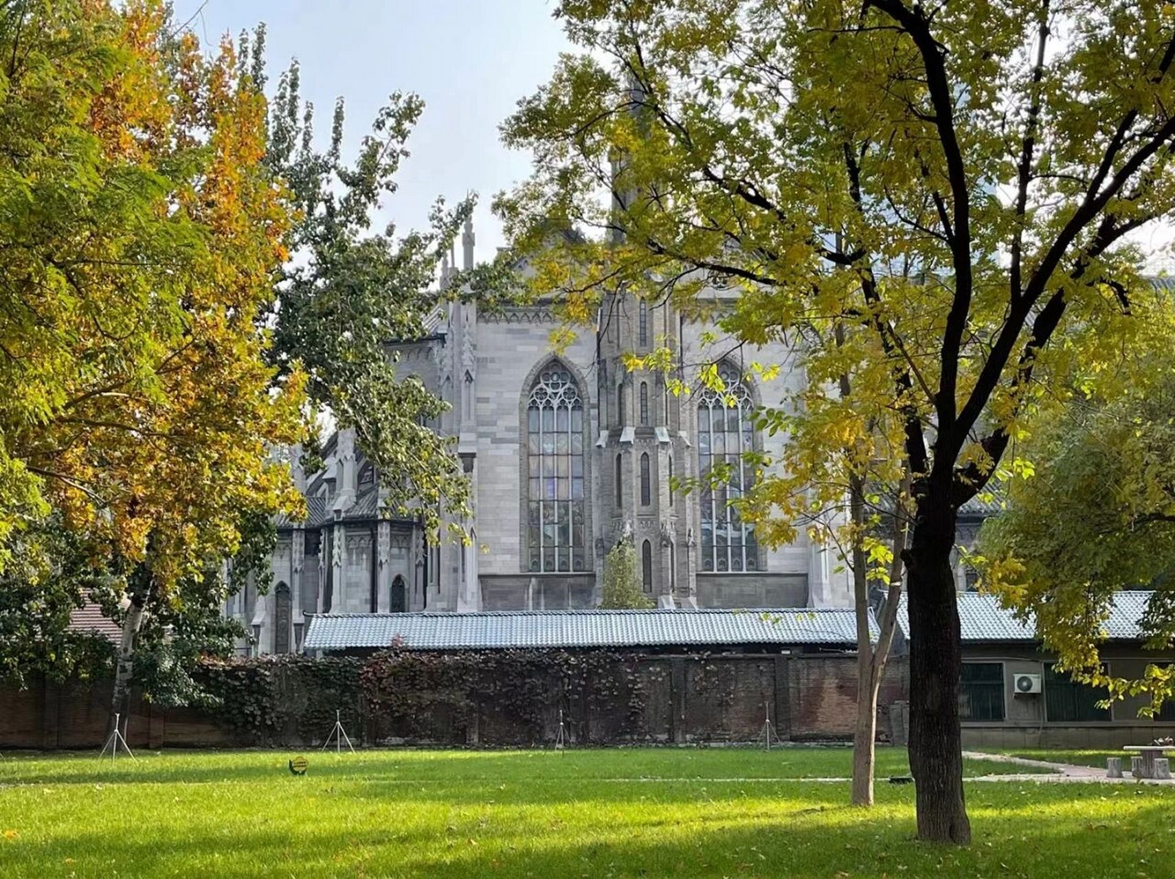 山东大学洪家楼校区美爆了好嘛! 济南山东大学洪家楼校区拍摄