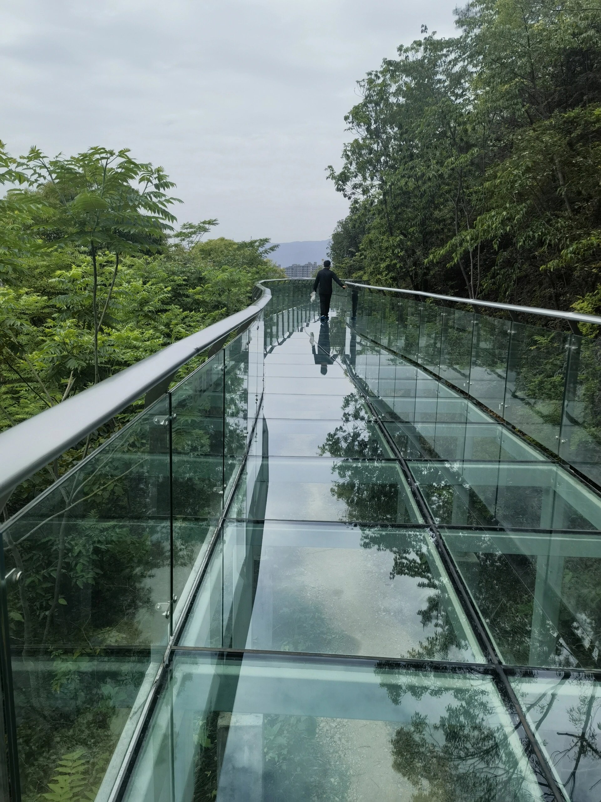 分享台州路桥中央山公园中免费的玻璃栈道