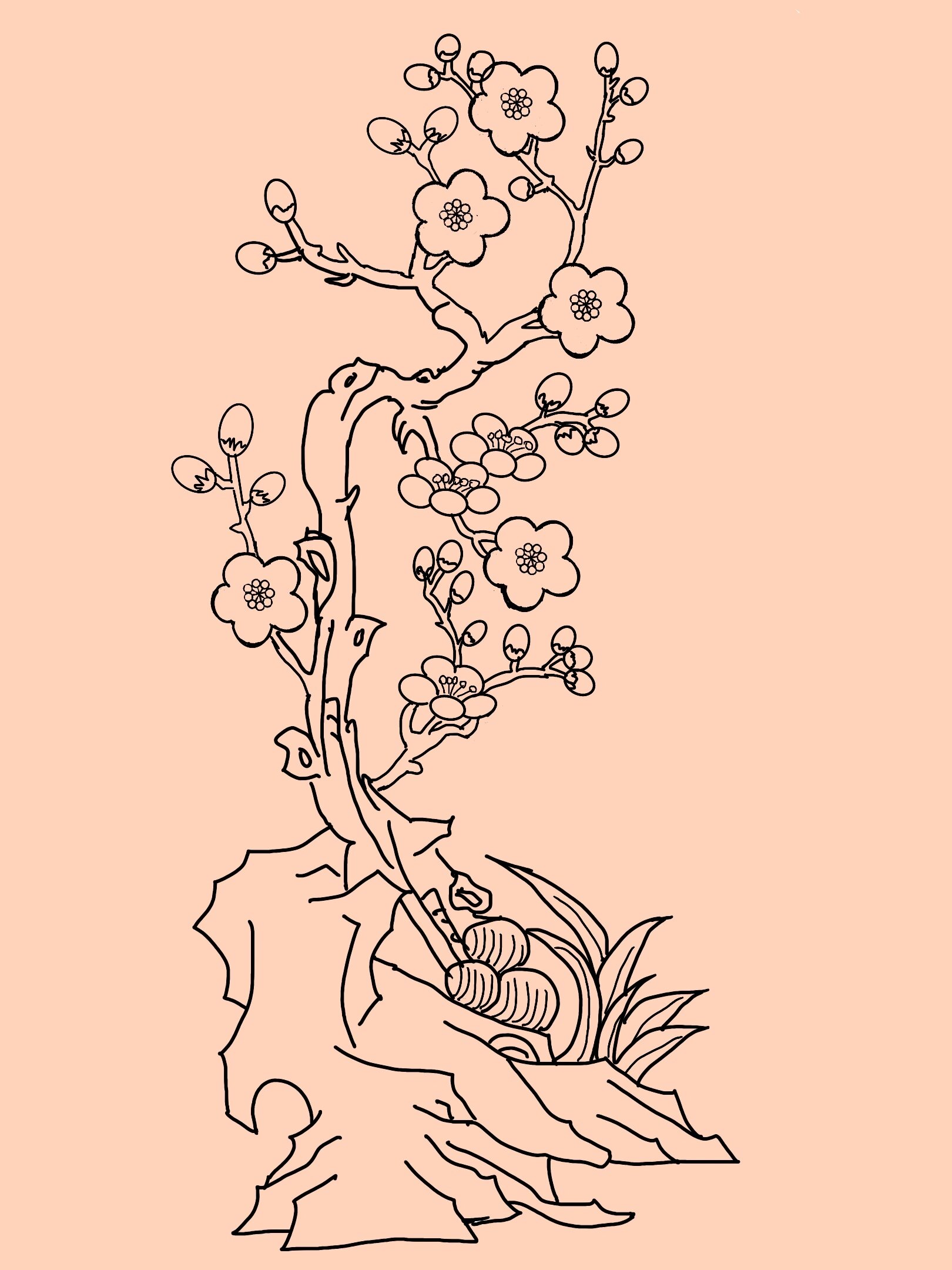 梅兰竹菊