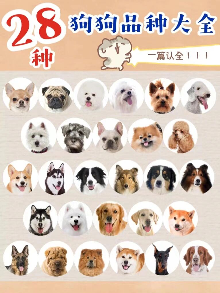 28种狗狗97品种大全