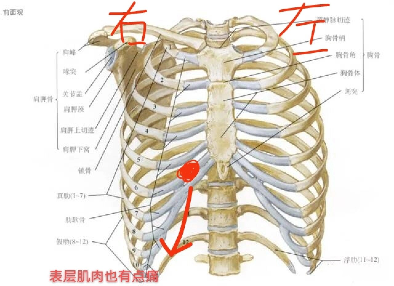 右肋下好痛