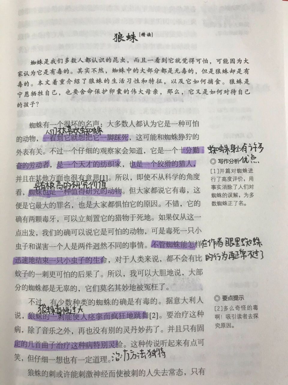 98昆虫记章节批注90 狼蛛(上)