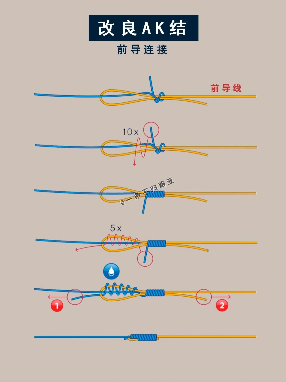 我的钓鱼日记