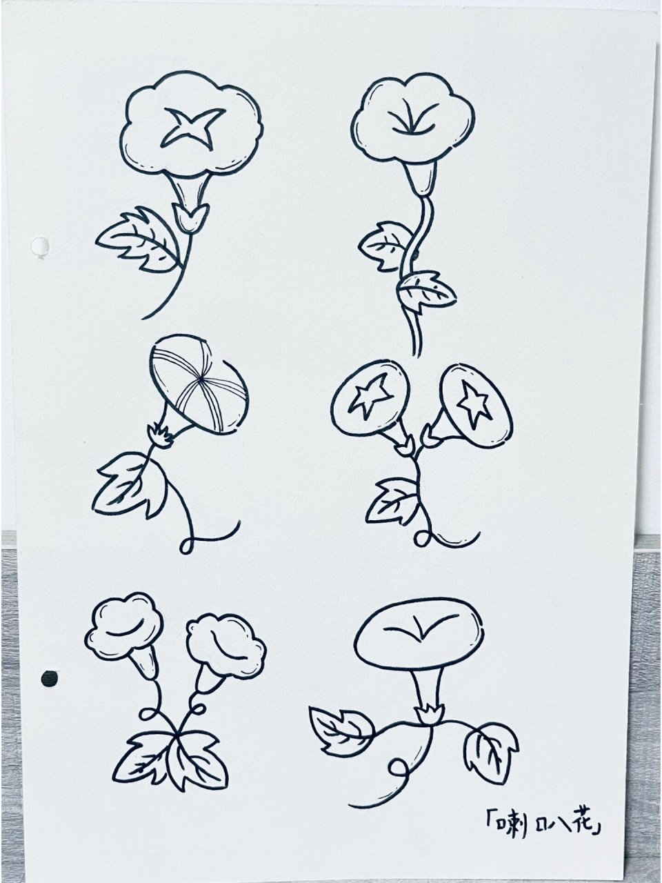 简笔画「牵牛花」喇叭花9595