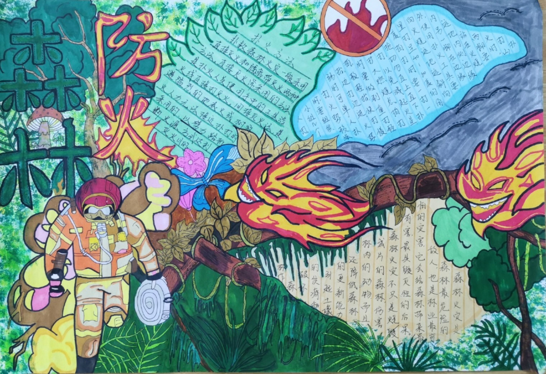 学生作品森林防火手抄报 初中生原创手抄报