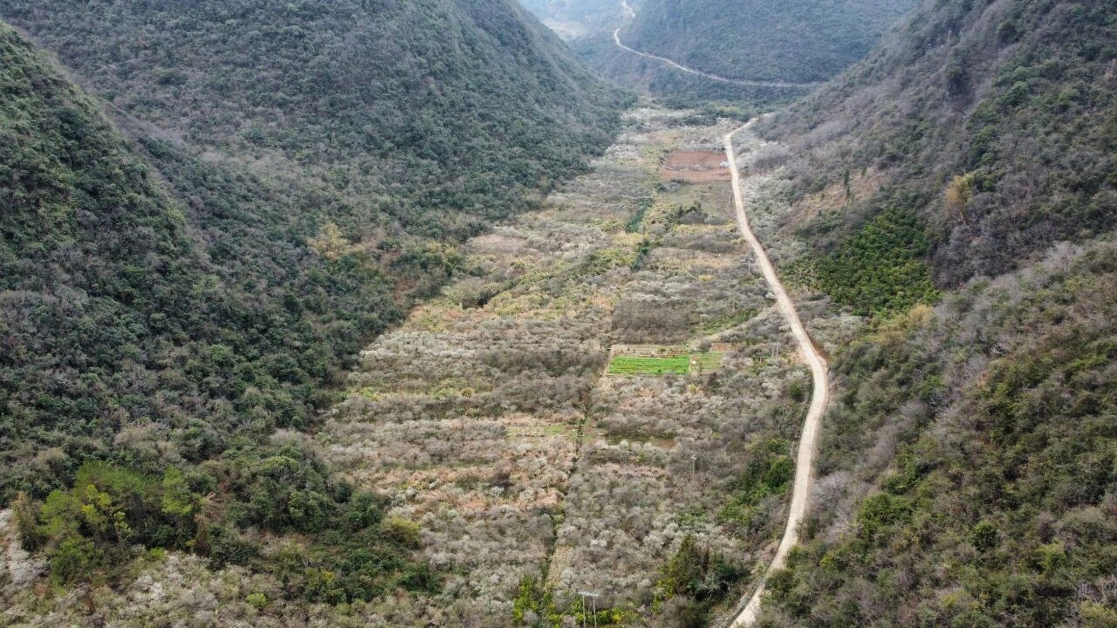 阳山水浪花谷图片