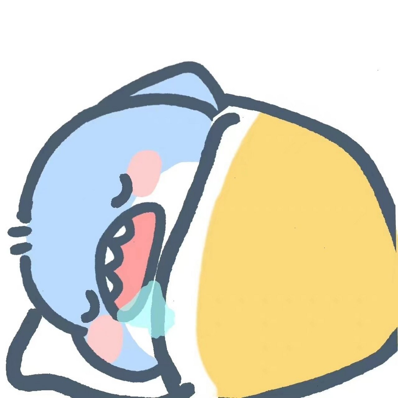 肥肥鲨高清头像大放送! 头像快快换起来吧