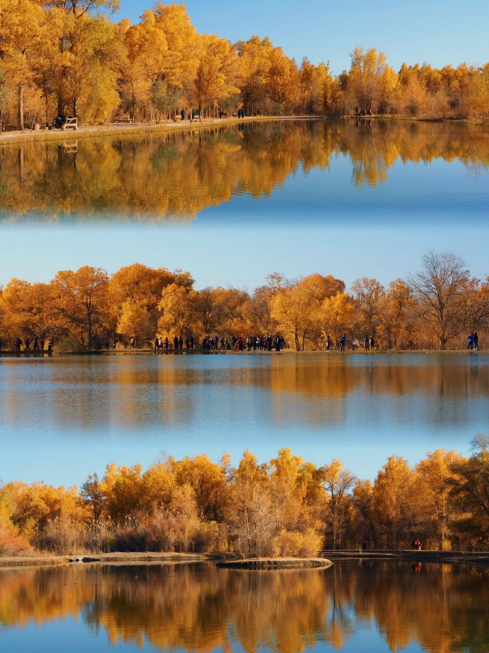 去7515甘肃这片小众胡杨林千万别错过60 hi,这里是你的夏天96