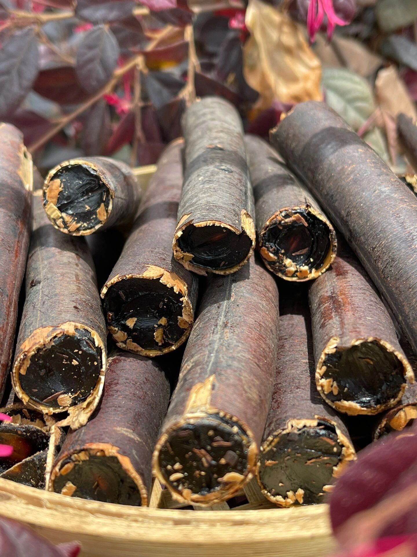 铁肠胃福星82尼泊尔奇异果 奇异果其实就是腊肠树的果实90 腊肠