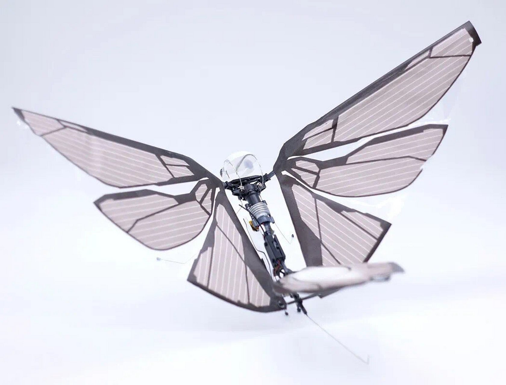 结构仿生设计 仿生无人机 设计:edwin van ruymbeke 它完美的模仿了