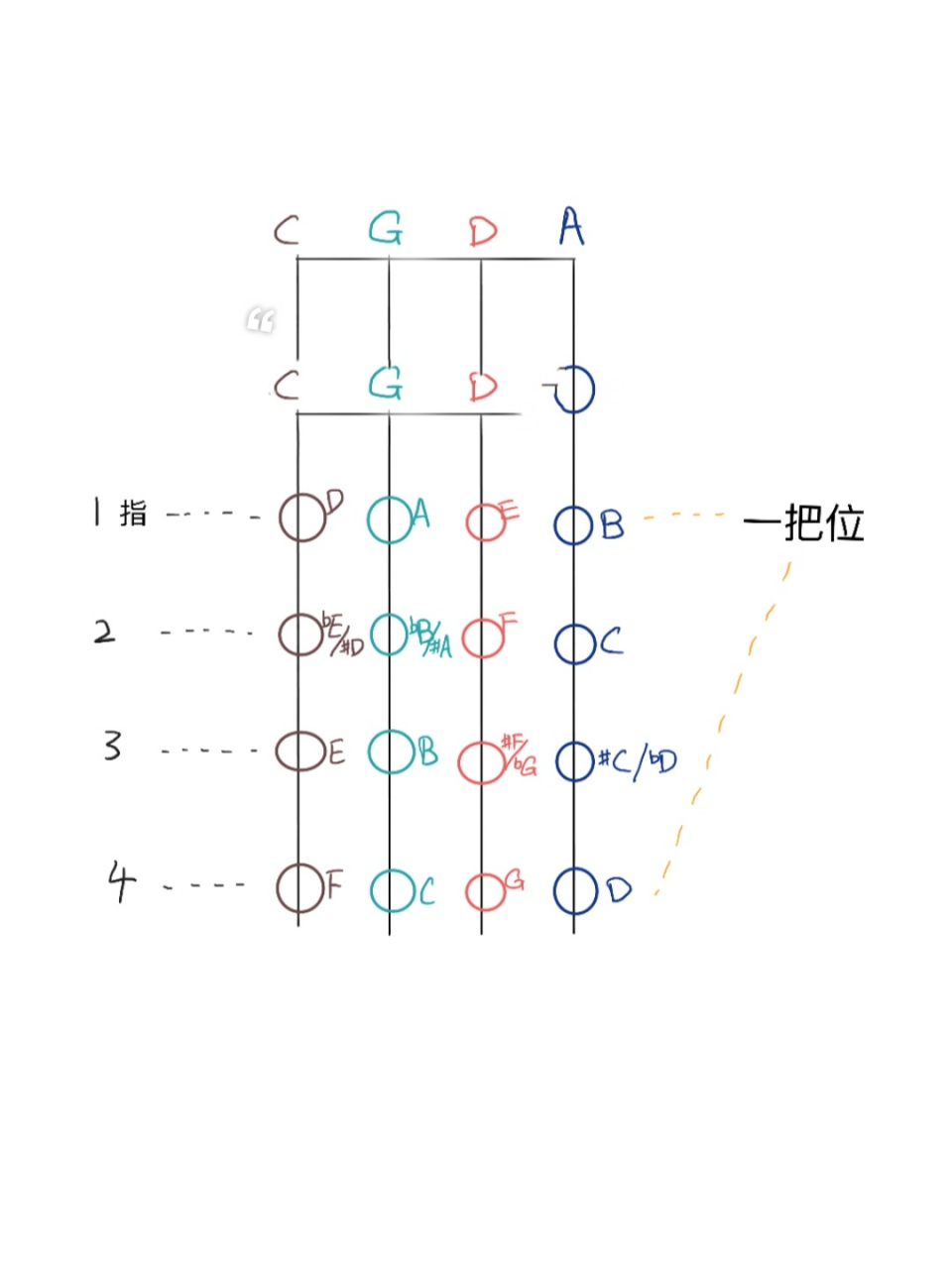 【大提琴】一把位 指法,音高图,入门必备 给学生做了这个一把位的"小