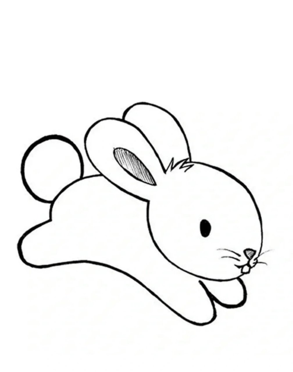 幼儿园简笔画                  夏季到了～老师快带小朋友们到动物