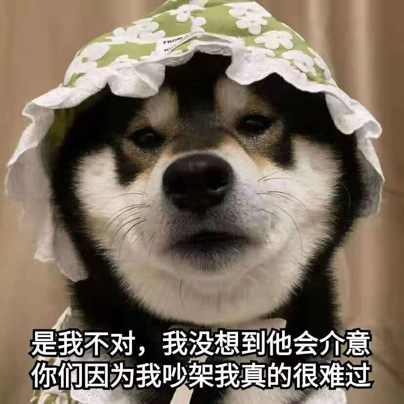 婊里婊气的表情包图片