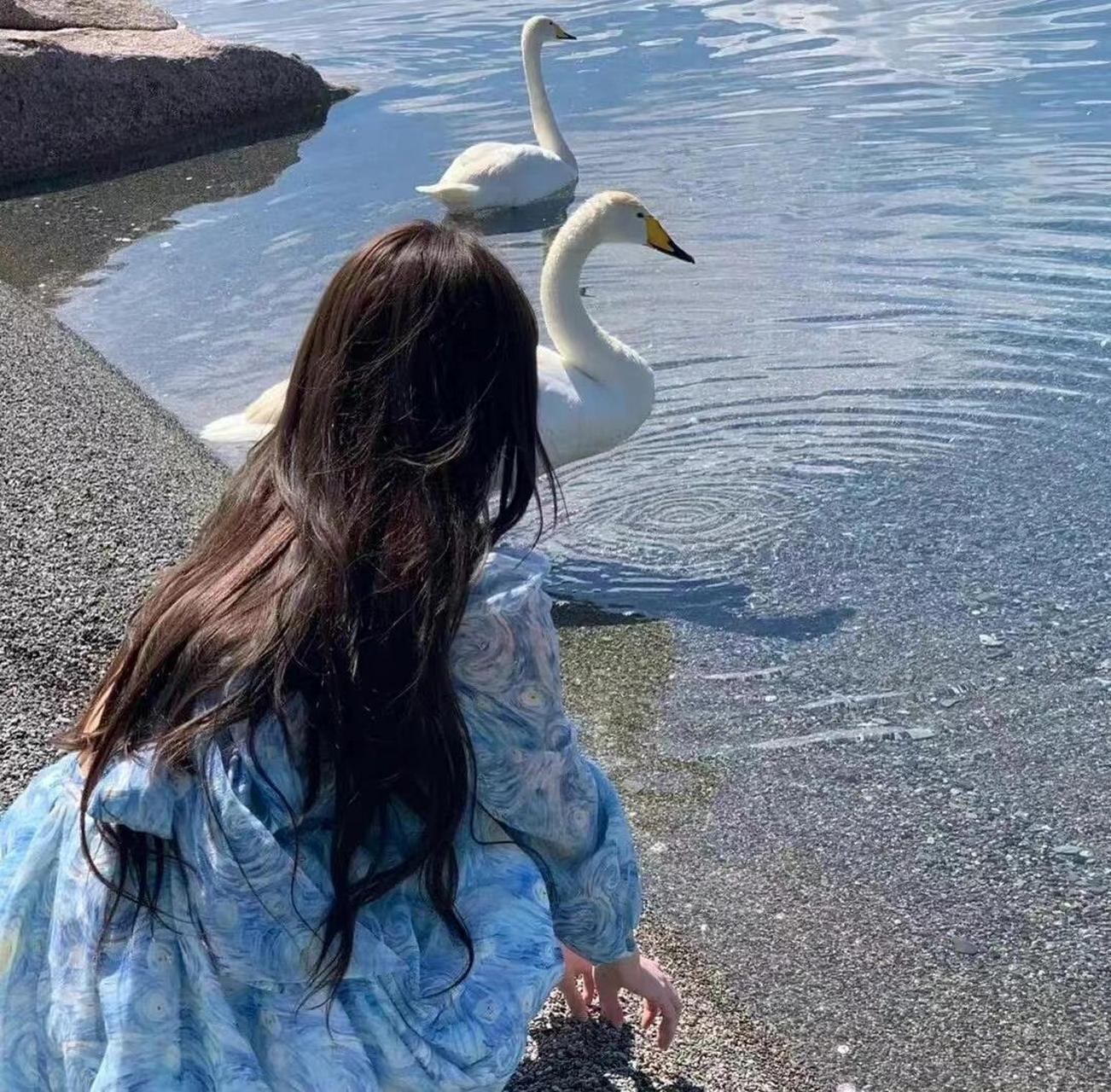 美女背景图 美女背景图