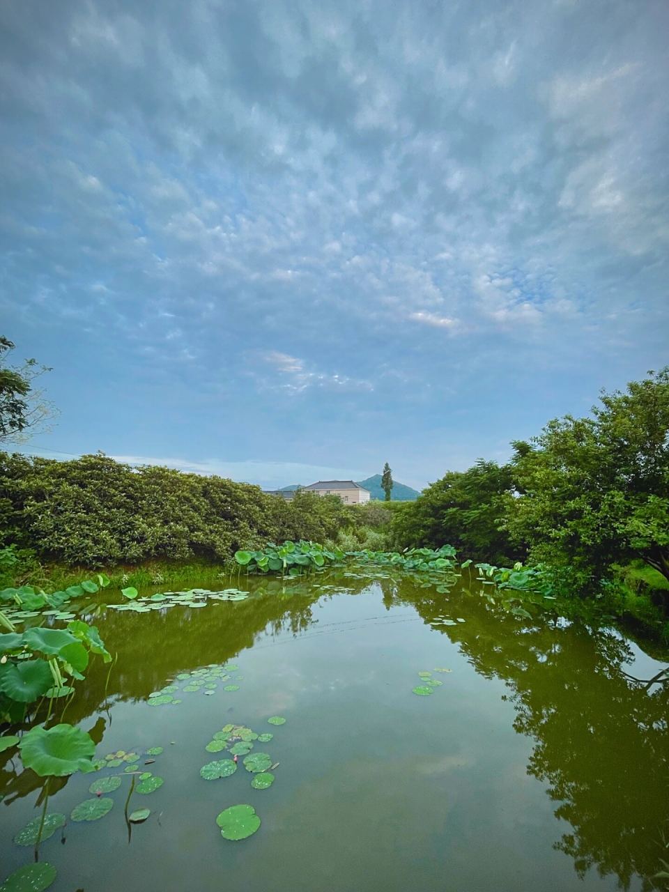 塘栖丁山湖 丁山湖位于临平区塘栖镇西南面3.