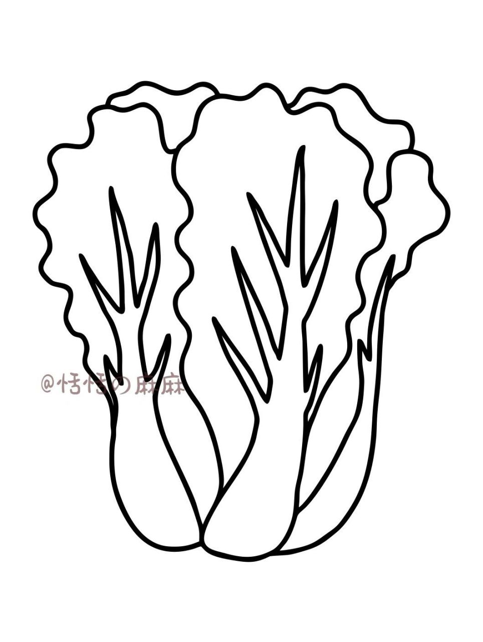 简笔画 | 实用蔬菜篇素材 常见的蔬菜02989992150997简