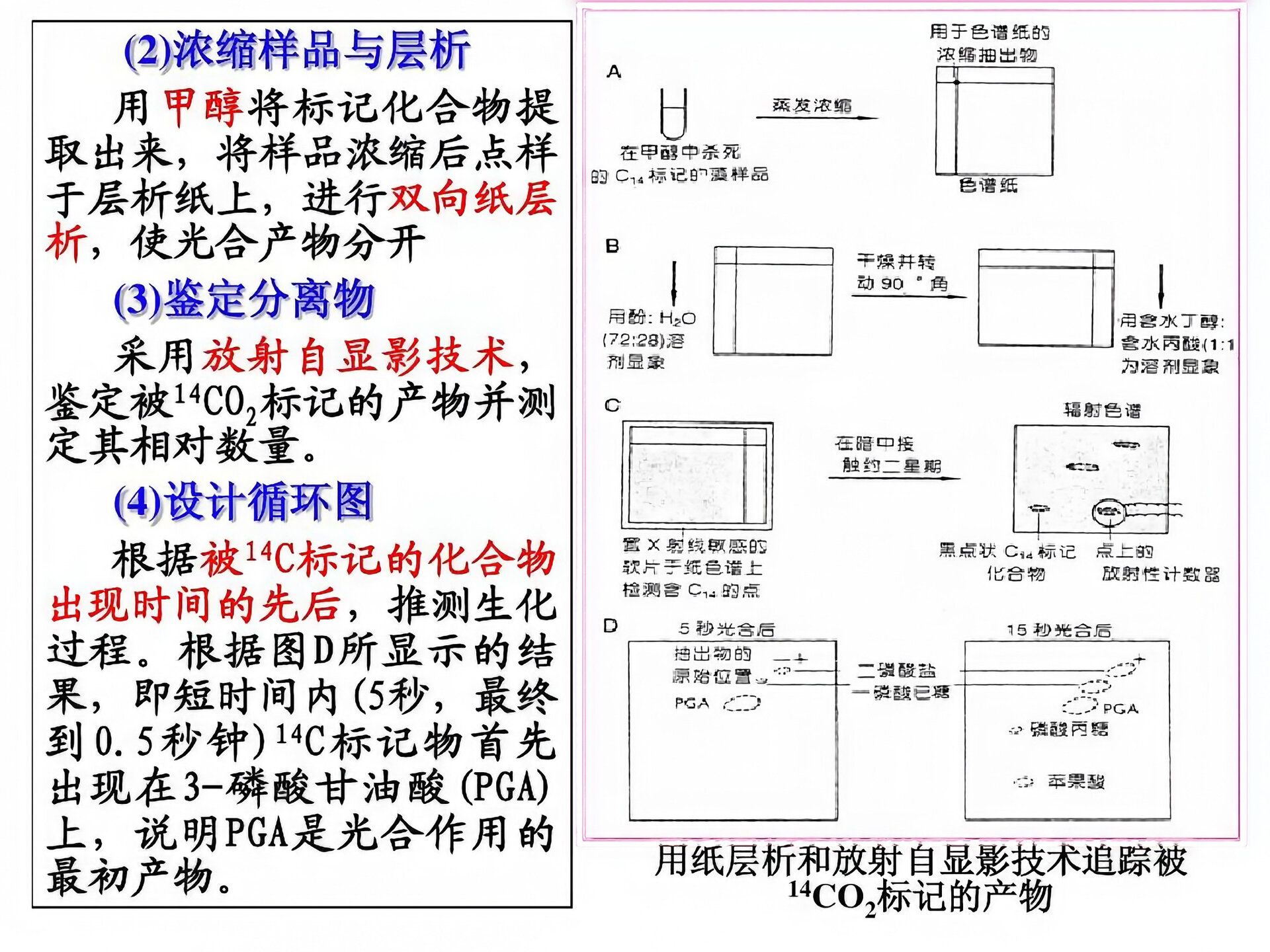 倾析法图片图片