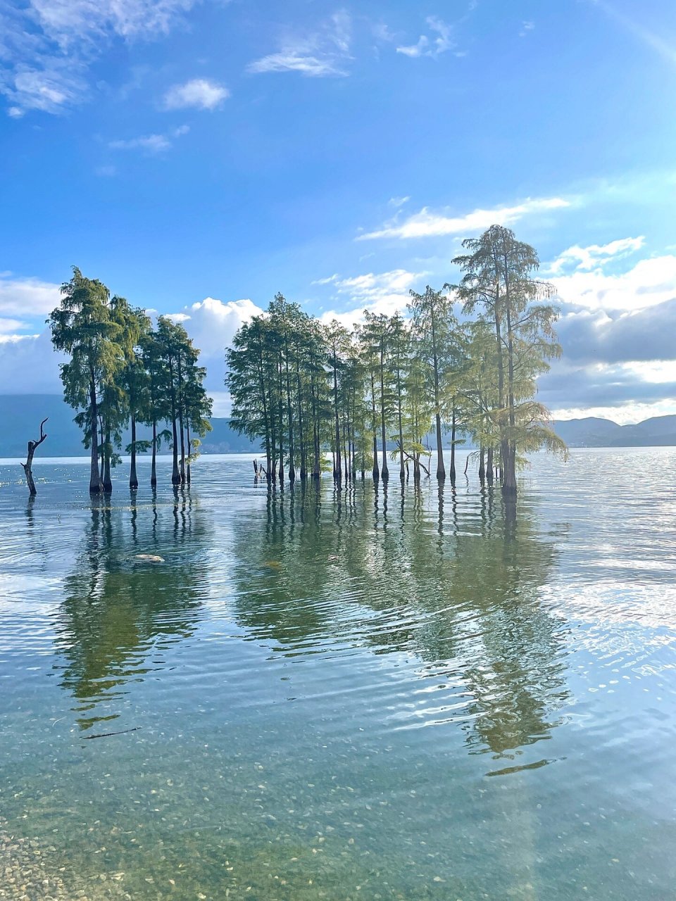 大理|龙龛码头|洱海98 云南大理总得去趟龙龛码头 看看洱海吹吹风散