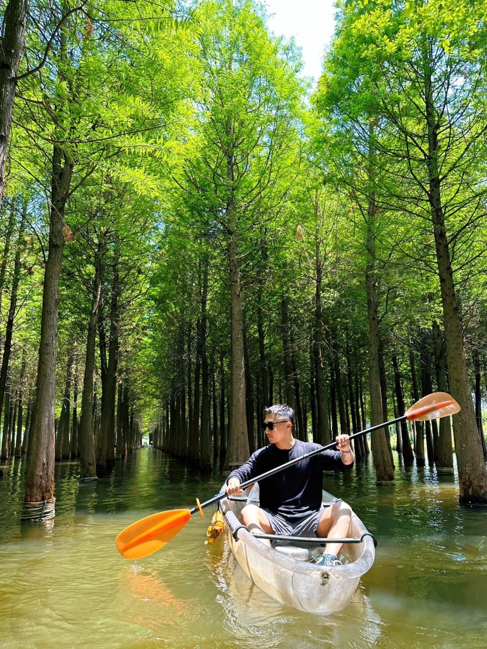 水上森林|昆明海洪主题公园 太喜欢海洪湿地公园了, 我觉得我可以在这
