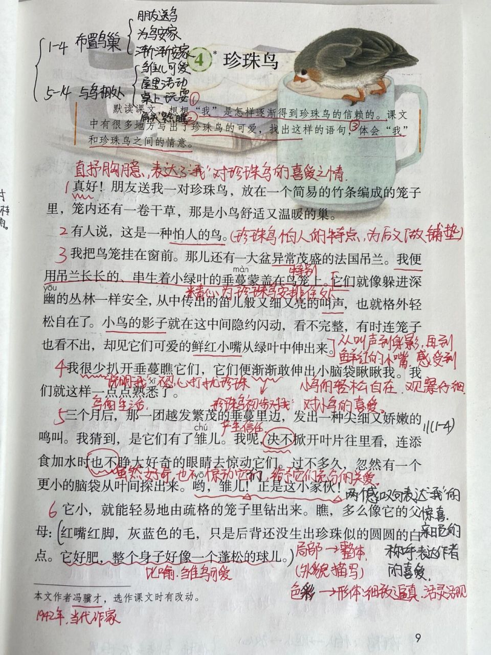 五年级上册语文—第四课《珍珠鸟》课堂笔记
