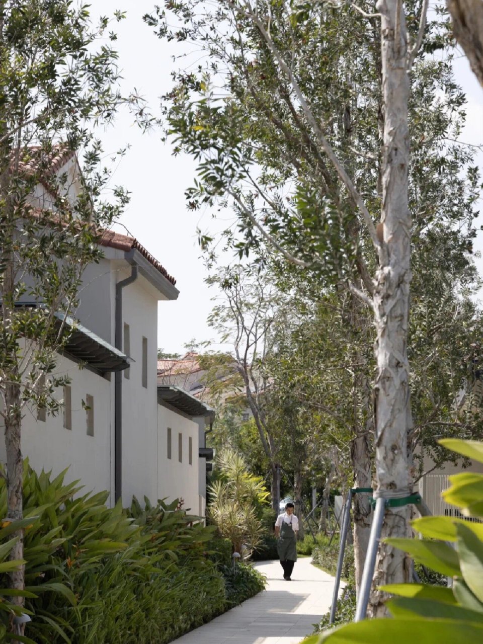 阿那亚·三亚 三亚的山处于两山之谷间,曲径通幽,这里看不见浩瀚的