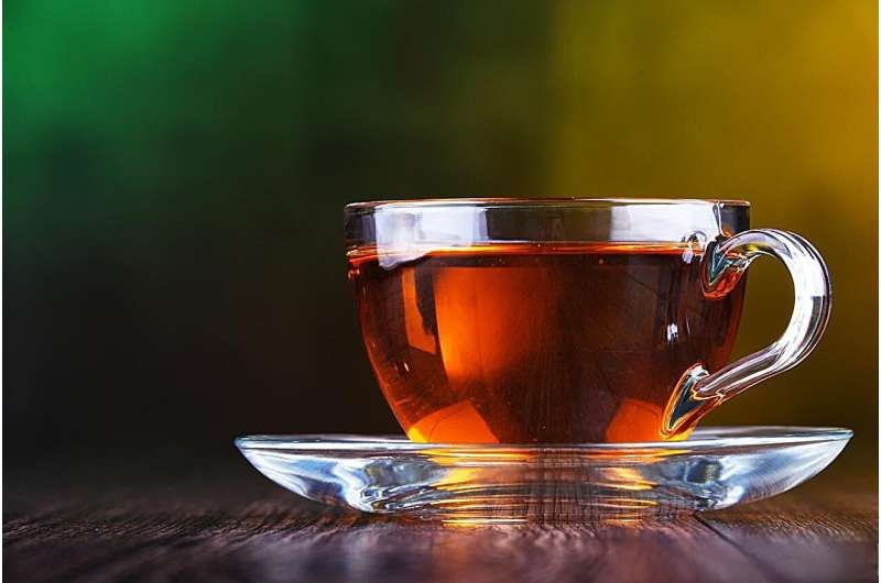 喝茶伤肾气(喝茶会损坏肾吗)