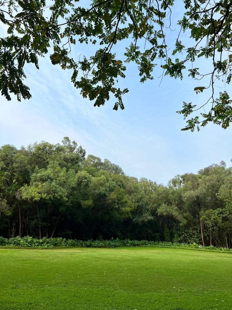 东莞·元美公园|散步散心好去处 95公园打卡记录(9/100) 这个公园第