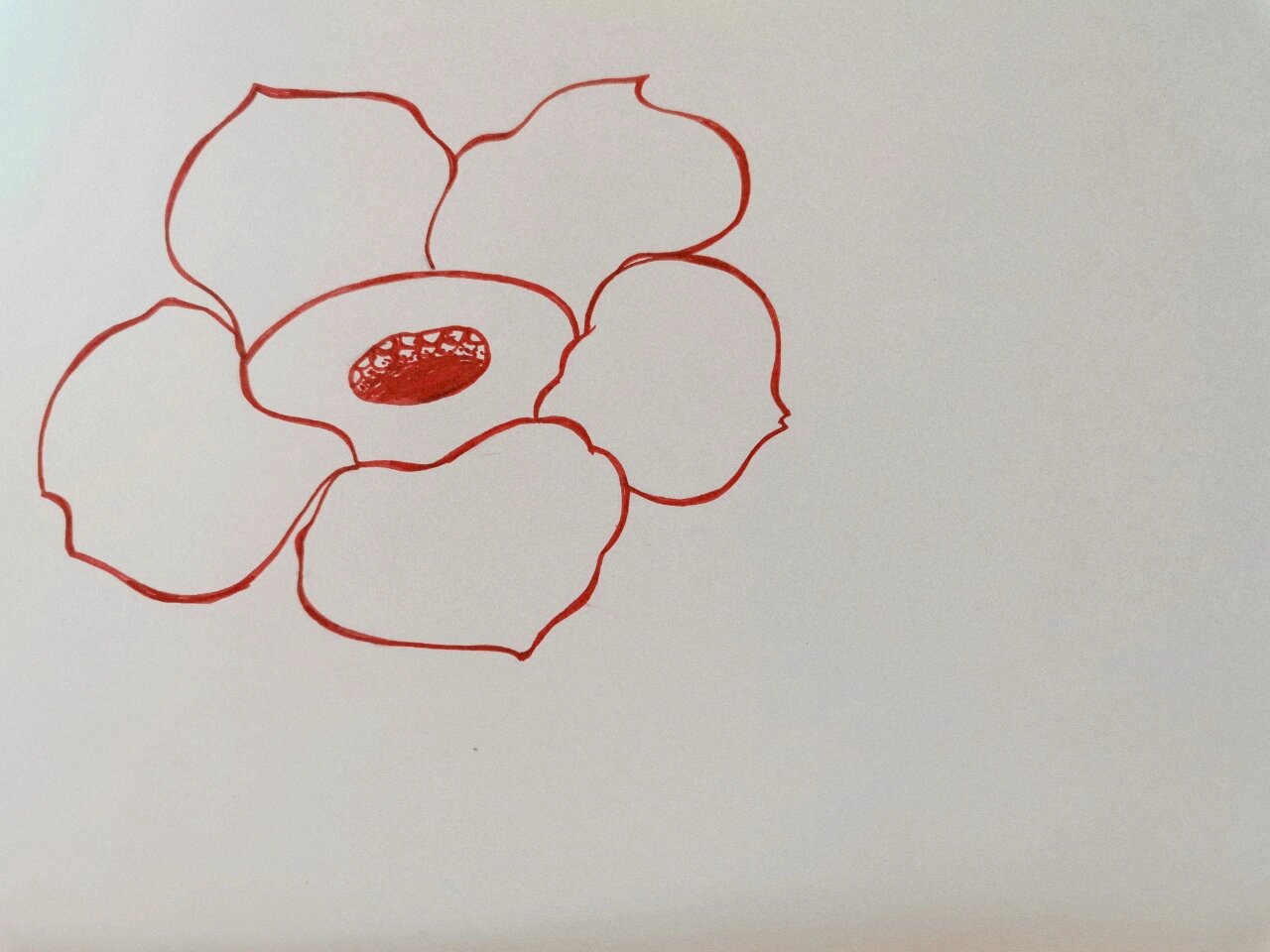 手绘花朵——食人花(附上步骤图)   676767  676767