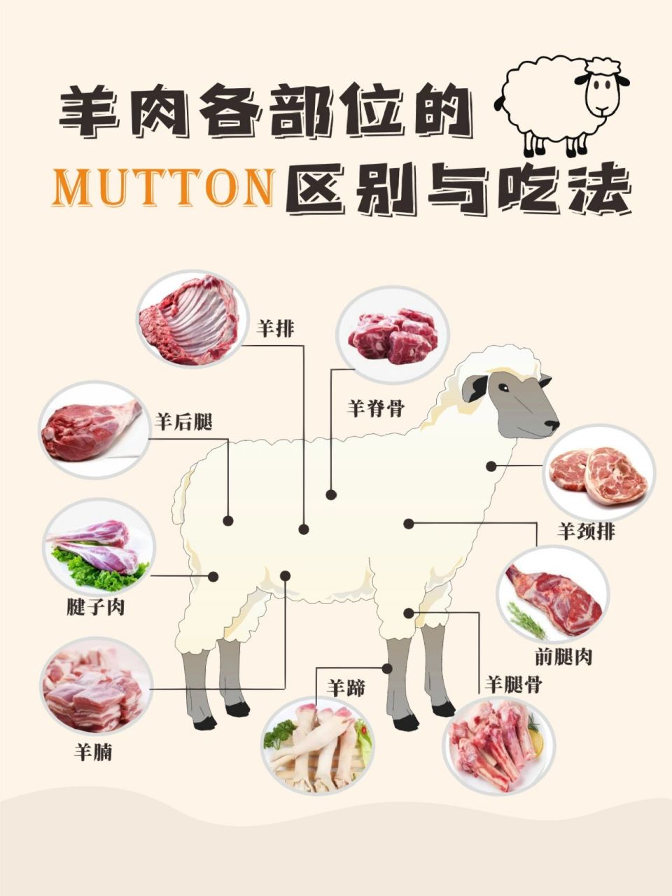 不同部位的羊肉口感和做法都不一样,小编今天整理了九种常见羊肉的 