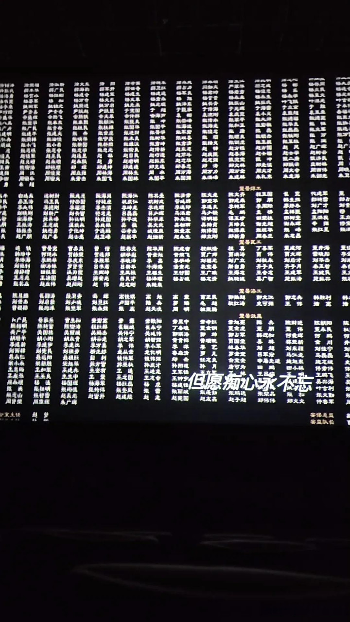 从来没在国产电影结尾见过这么密密麻麻的演职员表,本来以为耗费30亿