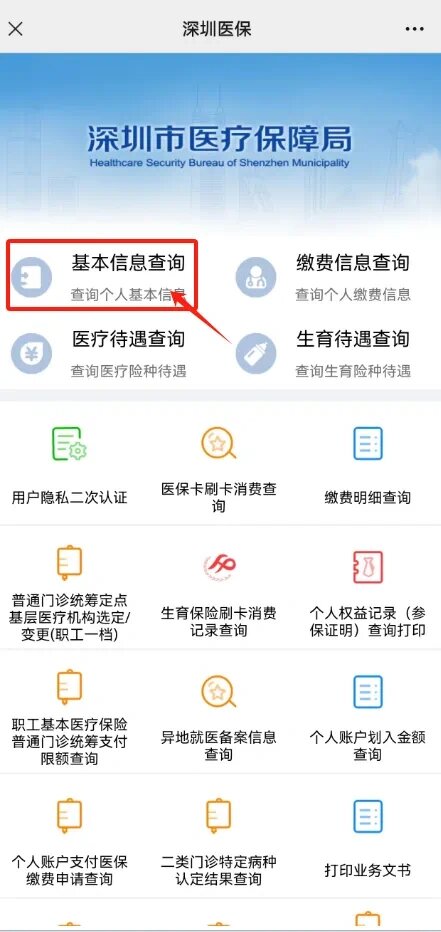 医疗保险怎么查询图片