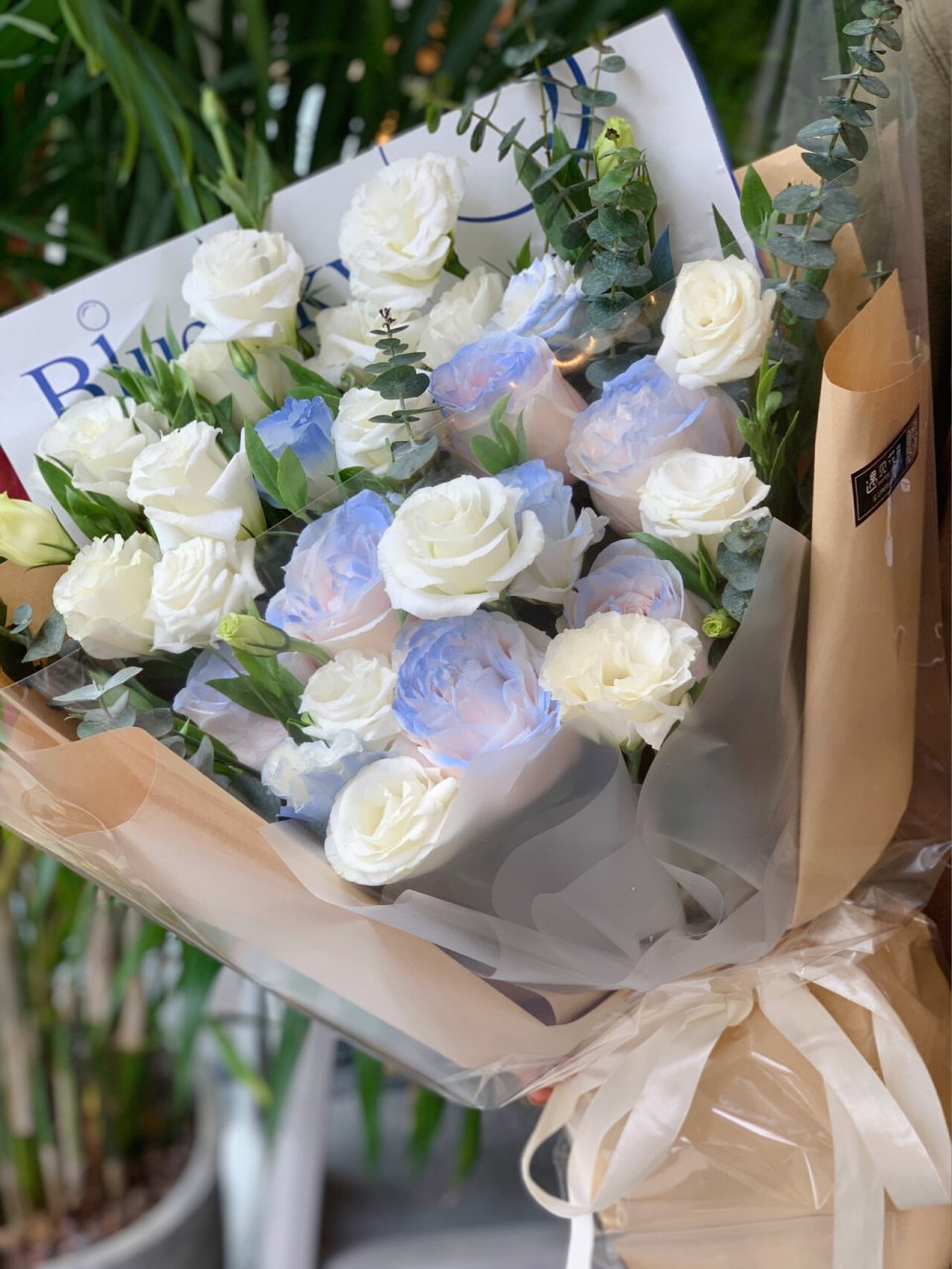 白色桔梗花束白色桔梗花语 白色桔梗花束白色桔梗花语,有一种花叫洋