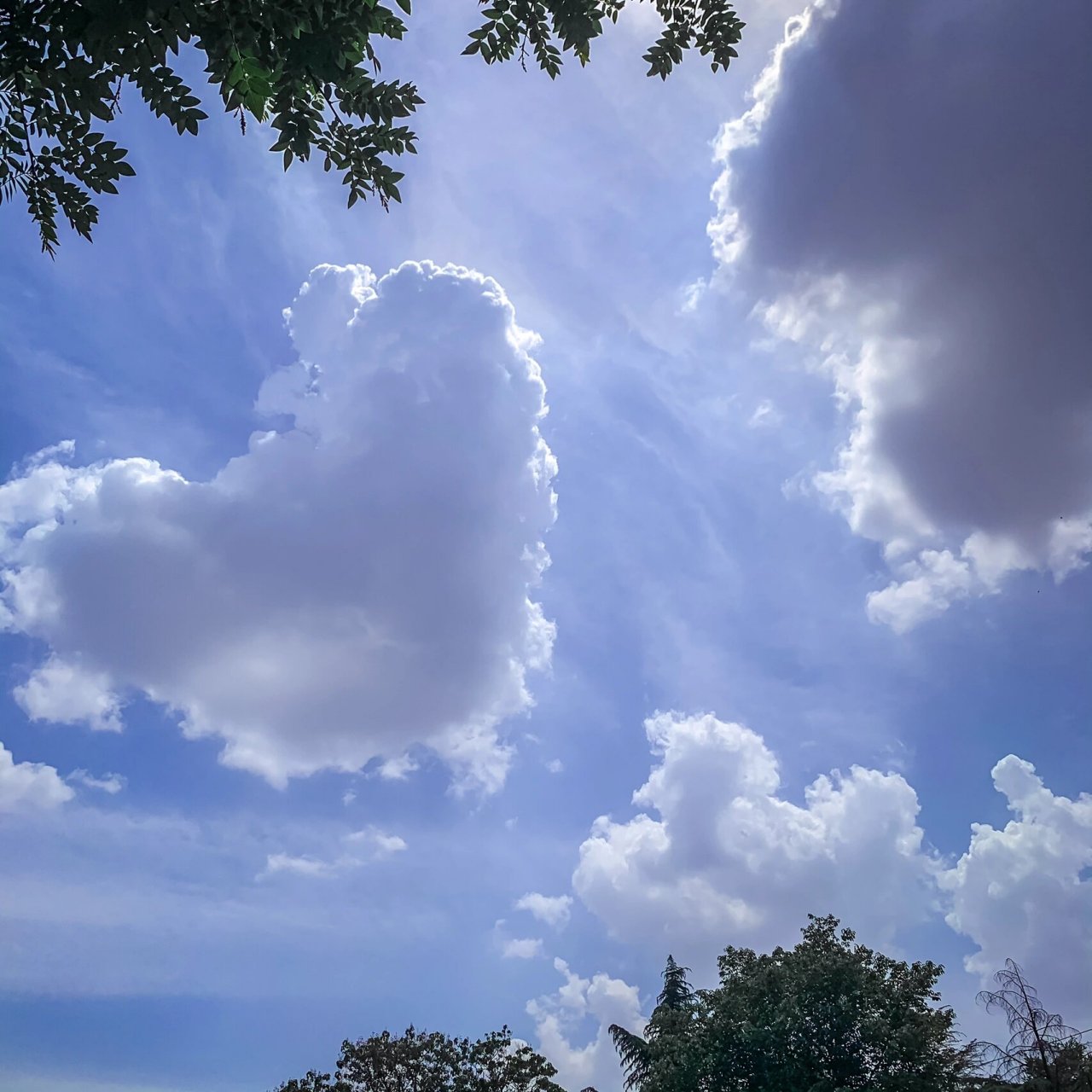 这个爱心78云太绝了~ 今天郑州的蓝天白云好看看~还拍到了爱心78